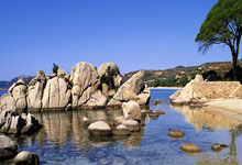 足球直播-美国网球队逆转英国网球队，德约科维奇惊艳世界