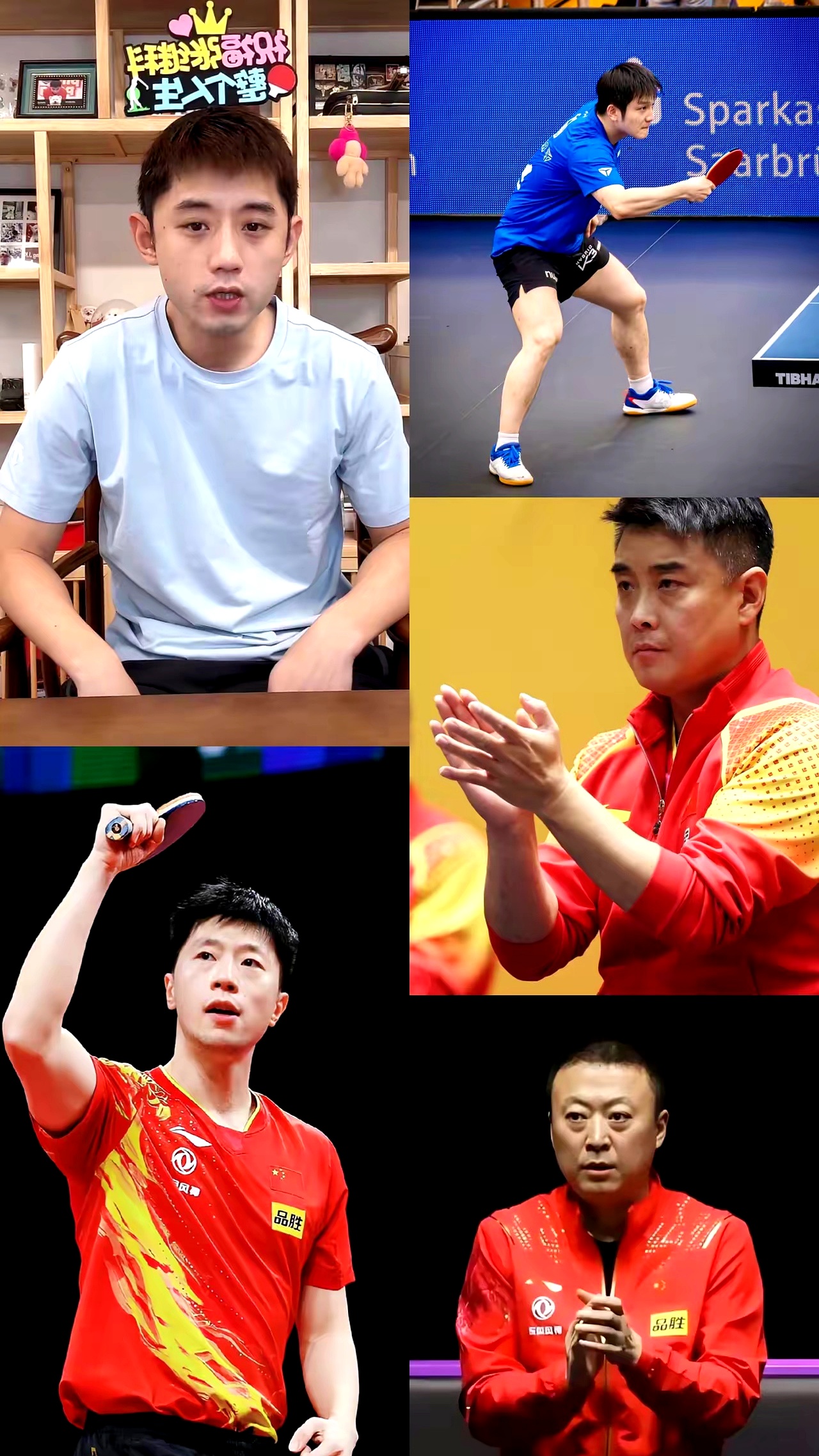 日本队横扫韩国队,张继科状态火热的简单介绍 日本队横扫韩国队,张继科状态火热的简单介绍